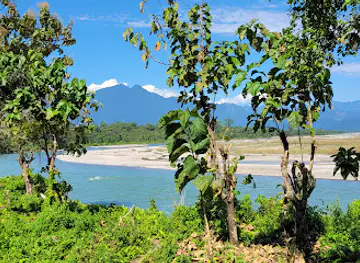 Sankosh Tea Garden View Point