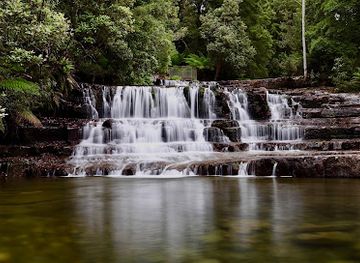 australia/tasmanian-wilderness/attraction/liffey-falls