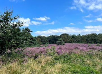 netherlands/veluwe/attraction/zonneland