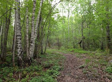 sweden/orebro/attraction/blankabacken-nature-reserve