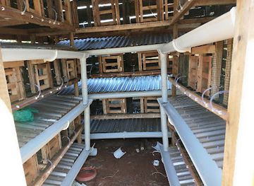 uganda/central-region/attraction/ssemu-rabbit-demonstration-farm