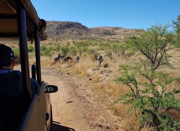 south-africa/pilanesberg-national-park/attraction/pilanesberg