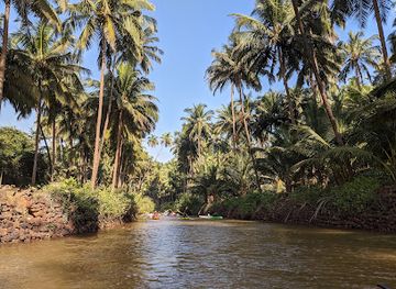 india/western-india/attraction/cola-beach
