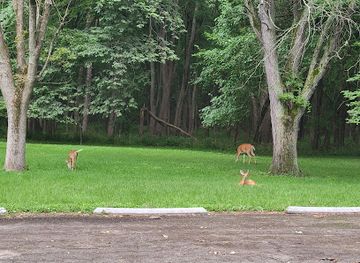 illinois/central-illinois/attraction/edward-r-madigan-state-park