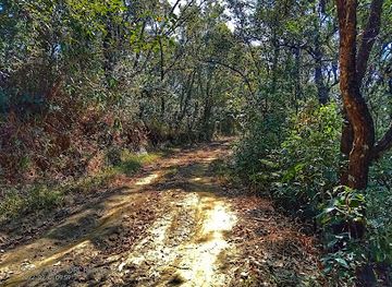 india/mizoram/attraction/orchid-sanctuary