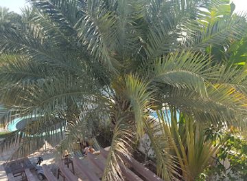 oman/muscat-governorate/attraction/al-mouj-island-park