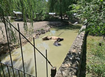 romania/muntenia/attraction/zoo-pitesti