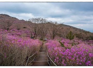 south-korea/miryang-valley/attraction/biseulsan-natural-recreation-forest