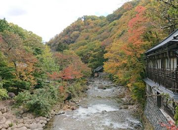 japan/mikawa/attraction/takaragawa-onsen
