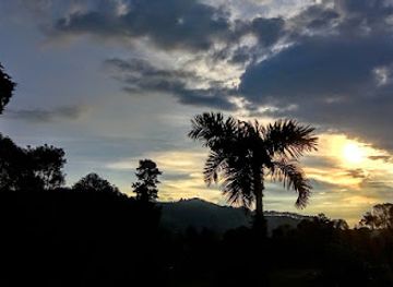 colombia/los-nevados-national-natural-park/attraction/bosque-popular-el-prado