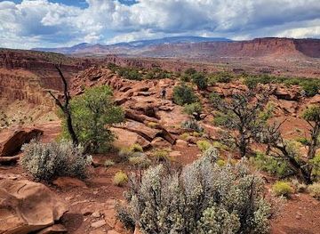 utah/torrey/attraction/goosenecks-overlook