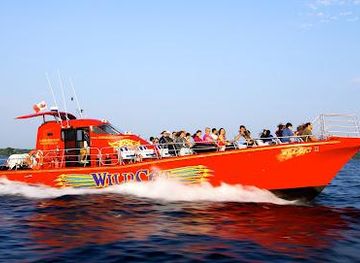 new-york/thousand-islands/attraction/1000-islands-seaway-cruises