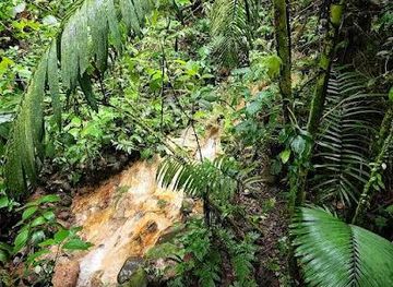 costa-rica/san-jose/attraction/central-american-tours