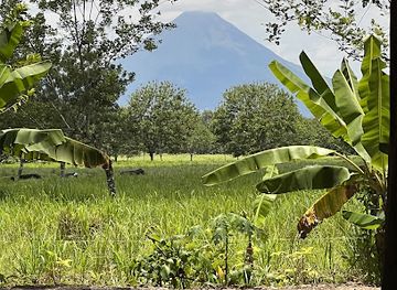 costa-rica/arenal-volcano-area/attraction/monkey-park-la-fortuna