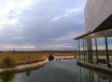 argentina/mendoza/attraction/bodega-don-manuel-villafane