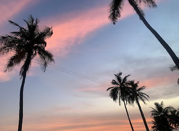 new-hampshire/central-new-hampshire/attraction/nature-s-sweet-secret