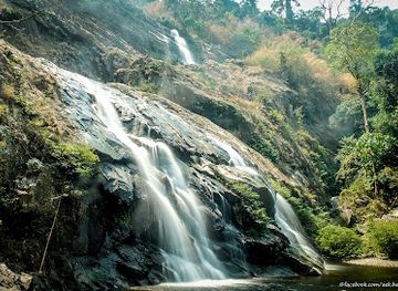 thailand/cardamom-mountains/attraction/khao-soi-dao-wildlife-sanctuary