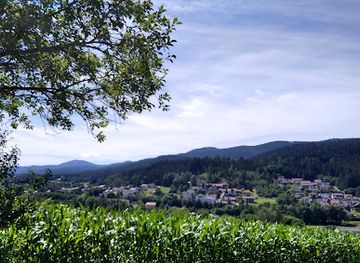 germany/bavarian-forest-national-park/attraction/panorama-park