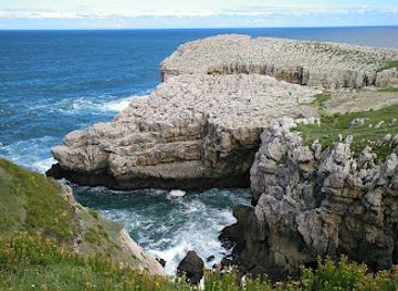 spain/cantabria/attraction/la-piedra-blanca