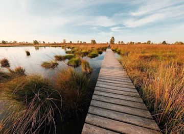 belgium/hautes-fagnes/attraction/high-fens