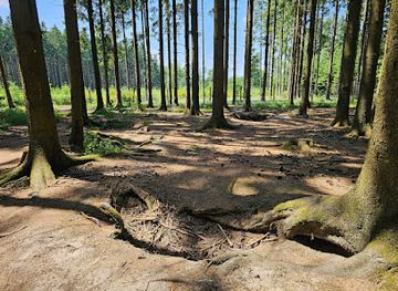 luxembourg/luxembourg-ardennes/attraction/bois-jacques-foxholes-101st-easy-company