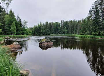 sweden/sarek-national-park/attraction/farnebofjarden-national-park