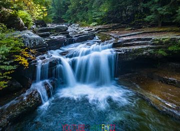 vermont/washington-county/attraction/bartlett-falls