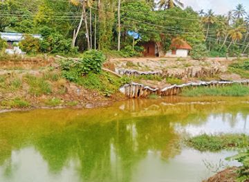 india/varkala/attraction/vallakadavu-bridge
