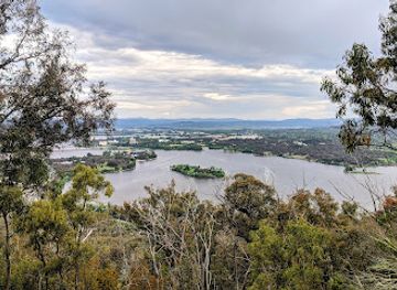 australia/south-west/attraction/black-mountain-nature-reserve