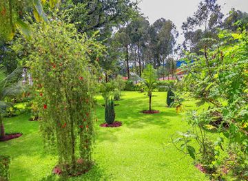 rwanda/musanze-caves/attraction/volcanoes-forest-camp