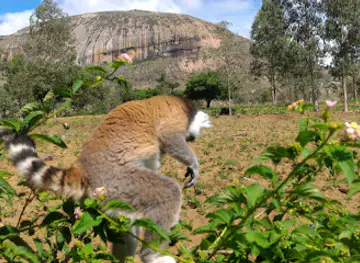 Anja Community Reserve