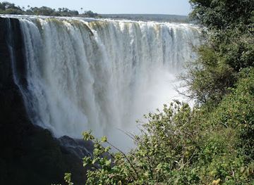 zambia/livingstone/attraction/gorilla-head-viewpoint
