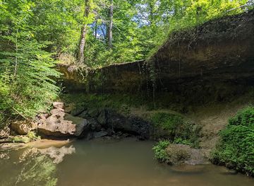 Attraction