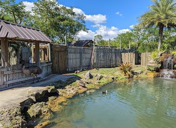 florida/homestead/attraction/everglades-alligator-farm