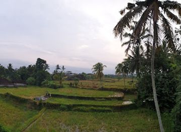indonesia/ubud/attraction/petulu-heron-bird-colony-watch-point