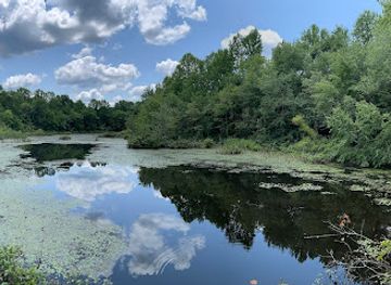 kentucky/mammoth-cave-national-park/attraction/sloan-s-crossing-pond-walk