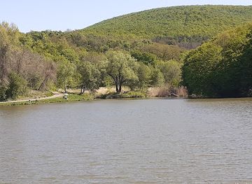 hungary/duna-ipoly-national-park/attraction/nagyborzsony-forest-railway