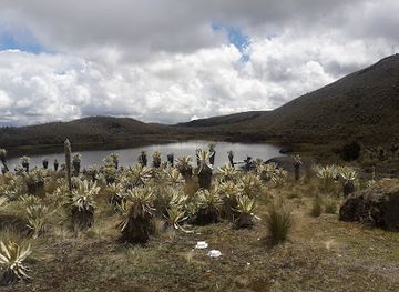 ecuador/carchi-region/attraction/complejo-ecoturistico-aguas-hediondas