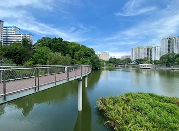 singapore/bukit-timah-nature-reserve/attraction/pang-sua-pond