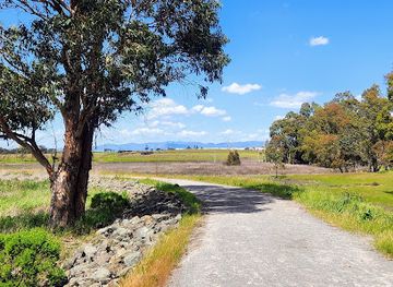 california/napa-valley/attraction/wetlands-edge-park