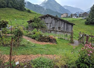 austria/bregenzerwald/attraction/natur-erlebnispark-holdamoos