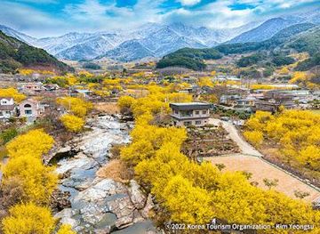 south-korea/suncheon/attraction/gurye-sansuyu-village