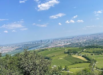 austria/vienna/dobling/attraction/lovelocks-kahlenberg