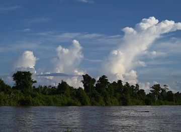 malaysia/sandakan/attraction/kinabatangan-river