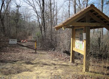 alabama/sipsey-wilderness/attraction/gum-pond-trailhead