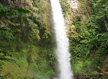 dominica/castle-bruce-beach/attraction/salton-waterfalls