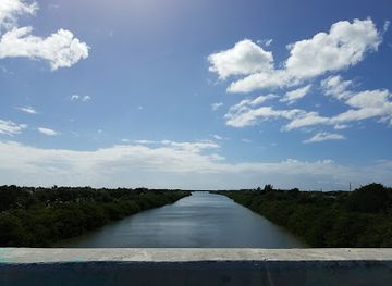 puerto-rico/puerto-rican-cordillera/attraction/rio-bucana
