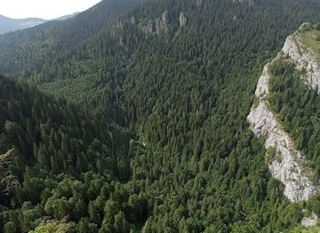 romania/salaj/attraction/pestera-susman