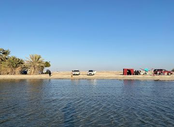 qatar/al-thakira-mangroves/attraction/umm-bab-beach