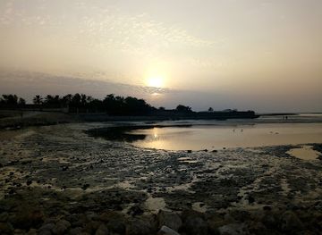 bahrain/budaiya/attraction/fresh-water-springs-in-the-middle-of-the-sea